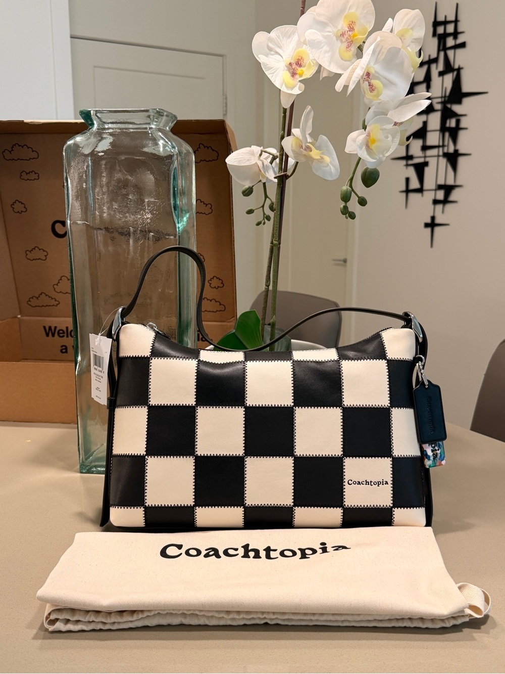 Coach Alter/Ego Slouchy Shoulder Bag (Large)